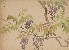 切換圖片按鈕圖示