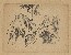 切換圖片按鈕圖示