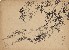 切換圖片按鈕圖示