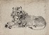 切換圖片按鈕圖示