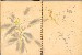 切換圖片按鈕圖示