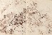 切換圖片按鈕圖示