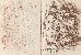 切換圖片按鈕圖示