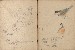 切換圖片按鈕圖示