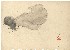 切換圖片按鈕圖示