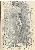 切換圖片按鈕圖示