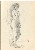 切換圖片按鈕圖示