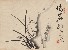 切換圖片按鈕圖示