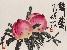 切換圖片按鈕圖示