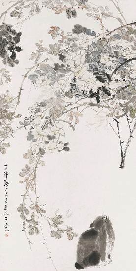 藏品:貓的(1)張圖片