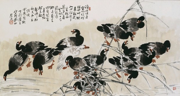 藏品:蘆雁的(1)張圖片