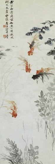 藏品:金魚的(1)張圖片