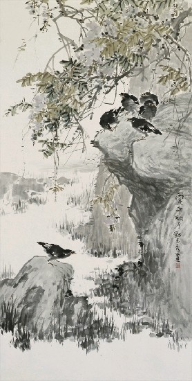 藏品:紫藤八哥的(1)張圖片