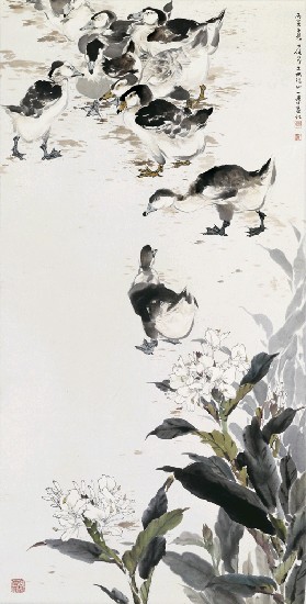 藏品:鴨.野薑的(1)張圖片