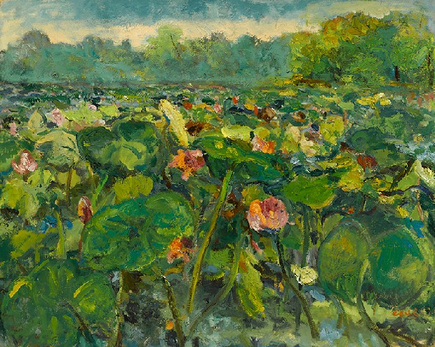 藏品:夏晨的(1)張圖片