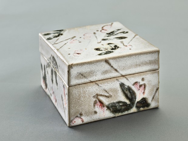 藏品:女人的(1)張圖片