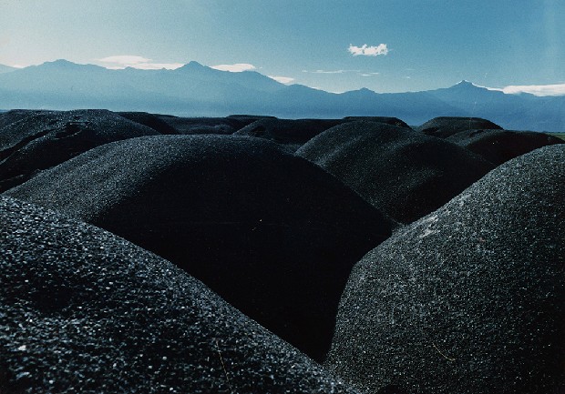 藏品:原野景觀的(1)張圖片