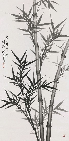 藏品:竹的(1)張圖片