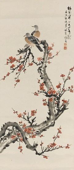 藏品:梅鳩的(1)張圖片