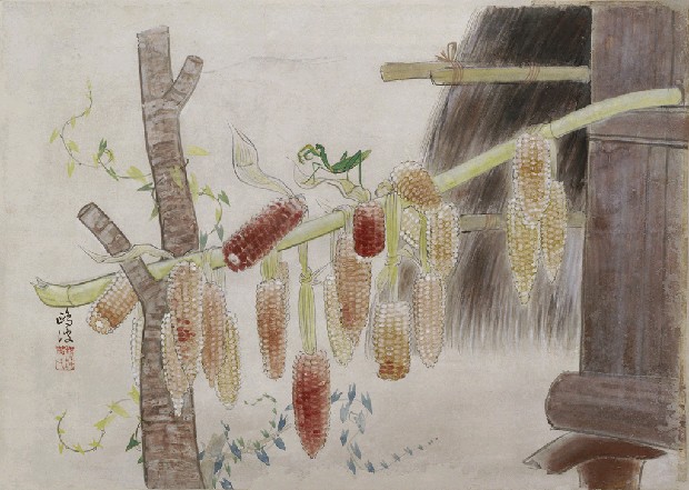 藏品:麗日的(1)張圖片