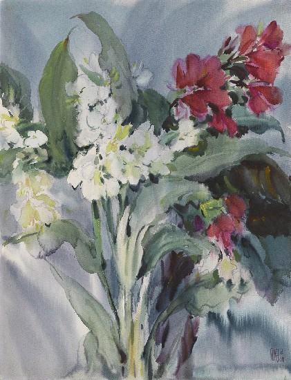 藏品:薑花與美人蕉的(1)張圖片