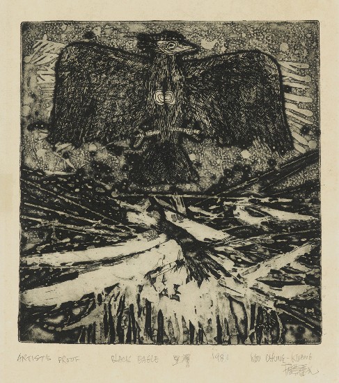 藏品:黑鷹的(1)張圖片