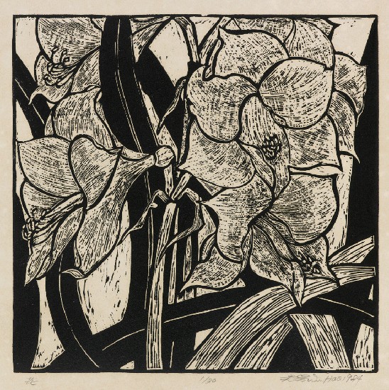 藏品:花的(1)張圖片