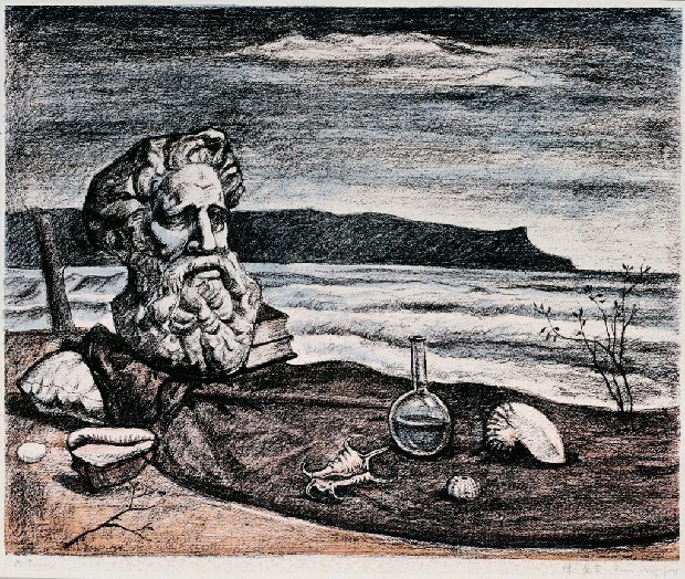 藏品:在海邊的靜物的(1)張圖片