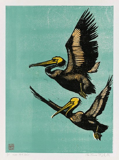 藏品:齊飛的(1)張圖片