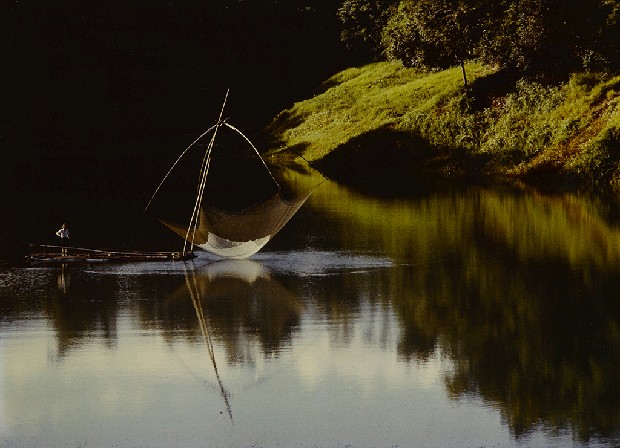 藏品:晨潭漁影的(1)張圖片