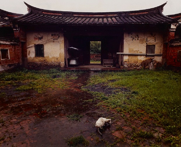 藏品:雨後的(1)張圖片