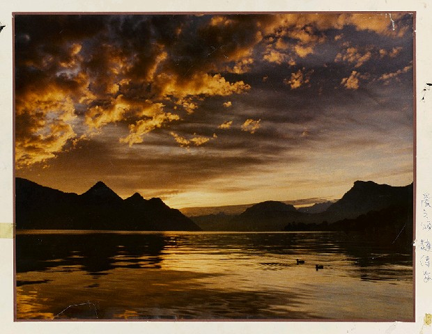 藏品:晨之頌的(1)張圖片