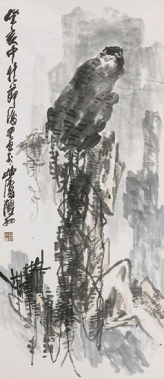 鷹的焦點圖
