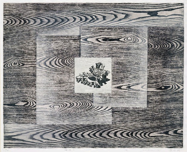 藏品:海韻II的(1)張圖片