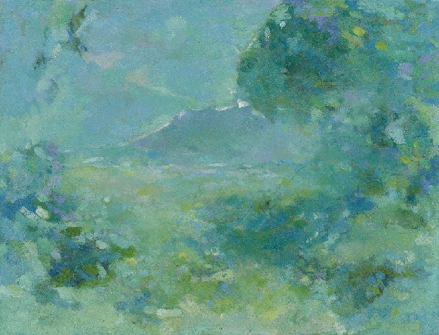 藏品:觀音山遠眺的(1)張圖片