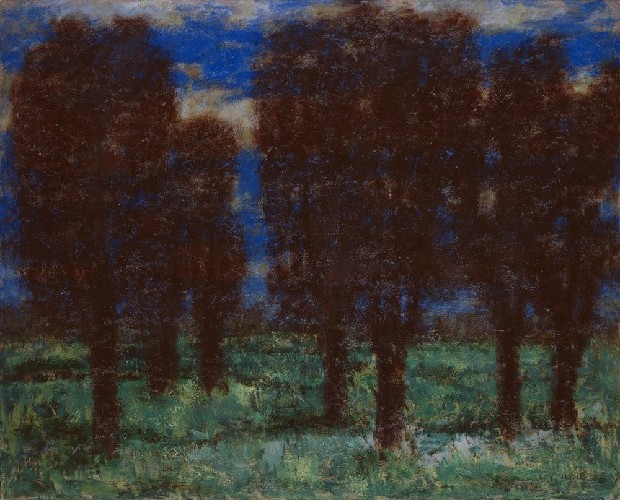 藏品:夏日的(1)張圖片