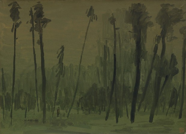 藏品:樹的(1)張圖片