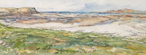 藏品:嫩綠黃沙碧海灘的(1)張圖片