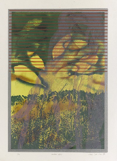 藏品:窗2863的(1)張圖片