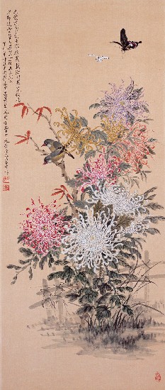 菊花蝴蝶夢的焦點圖