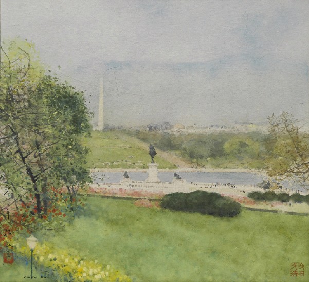 藏品:華盛頓之春的(1)張圖片