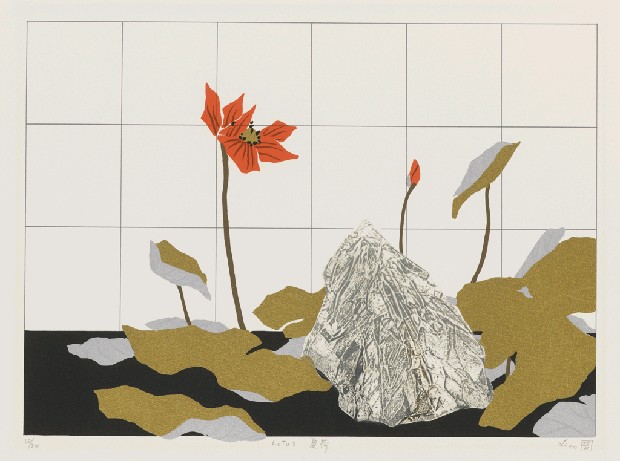 藏品:夏荷的(1)張圖片