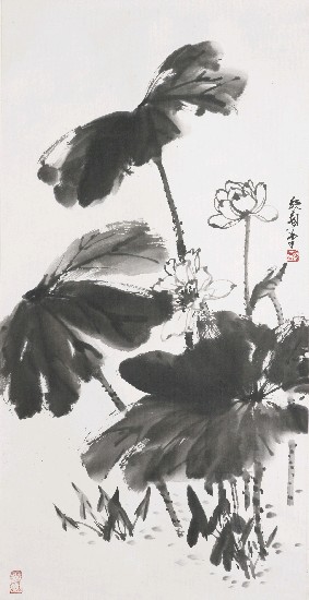 藏品:墨荷的(1)張圖片
