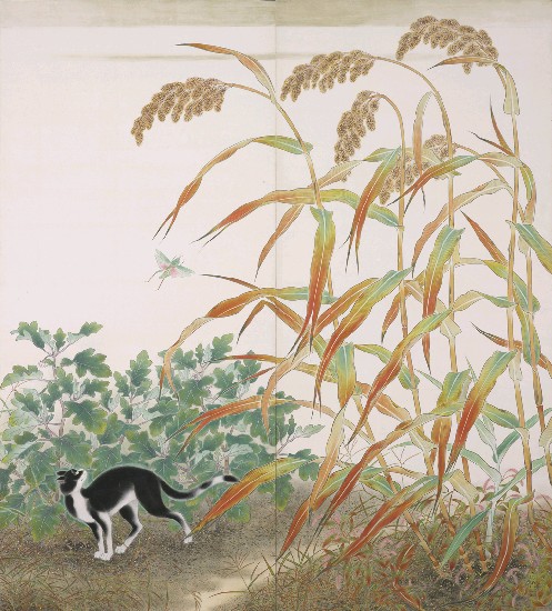 藏品:秋興的(1)張圖片