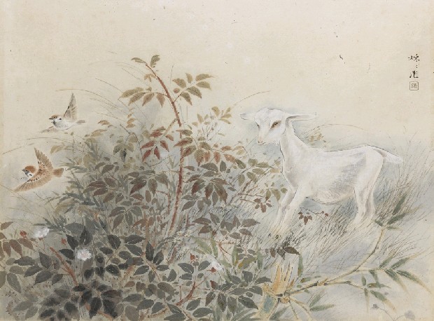 藏品:野趣的(1)張圖片