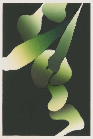 藏品:日記的(1)張圖片