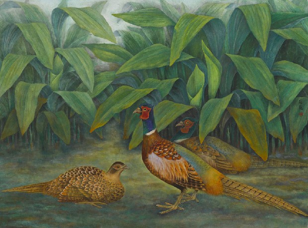 藏品:野趣一雉的(1)張圖片