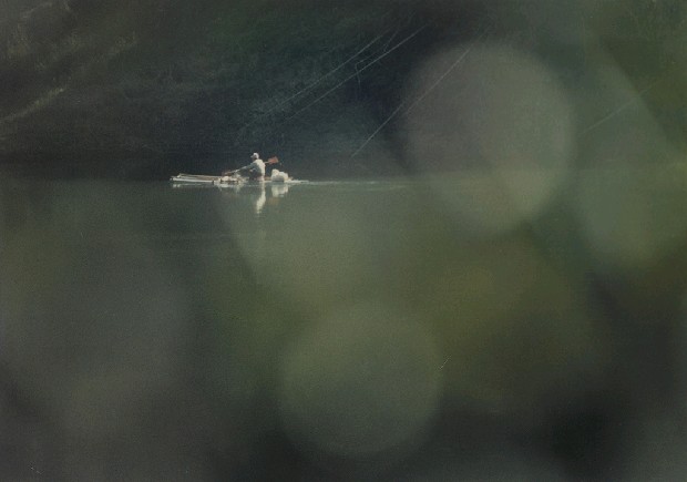 藏品:夢幻之旅的(1)張圖片