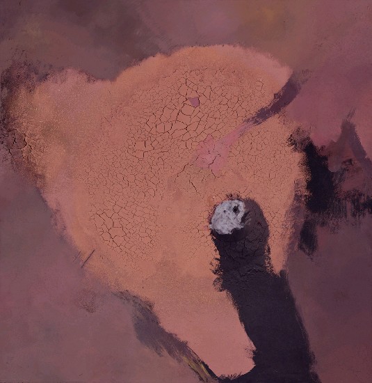 藏品:無題的(1)張圖片