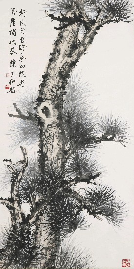藏品:松(蒼松圖)的(1)張圖片